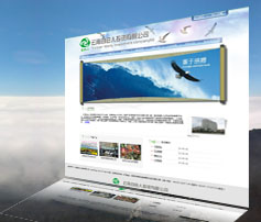 展示型网站案例:云南自由人投资有限公司