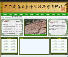功能型网站案例:丽江会议旅游休闲网
