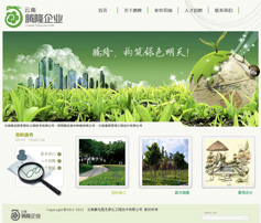 创意型网站案例:云南腾龙园艺绿化公司