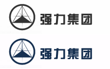 强力投资控股集团股份有限公司