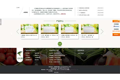 公司动态:祝贺云松南官方网站建设完毕，顺利上线！